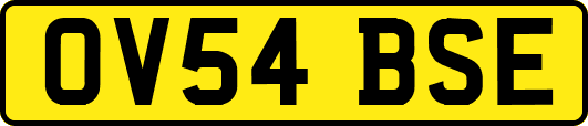 OV54BSE