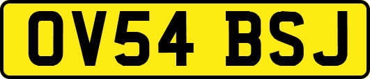 OV54BSJ