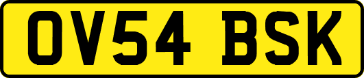 OV54BSK