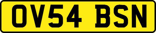 OV54BSN