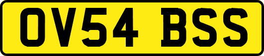 OV54BSS