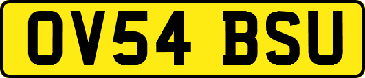 OV54BSU