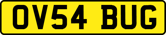 OV54BUG