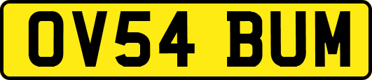 OV54BUM