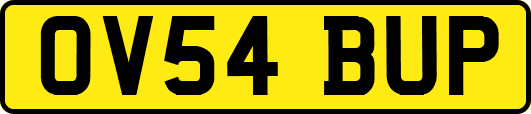 OV54BUP
