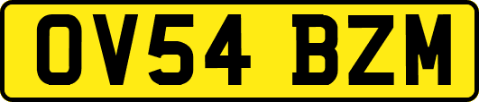 OV54BZM