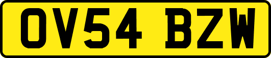OV54BZW