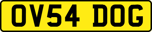 OV54DOG