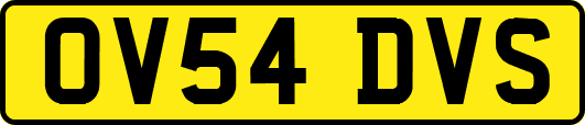 OV54DVS