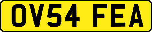 OV54FEA