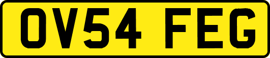 OV54FEG