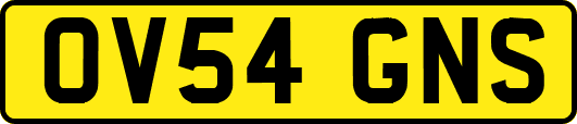 OV54GNS