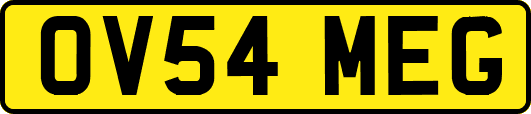 OV54MEG