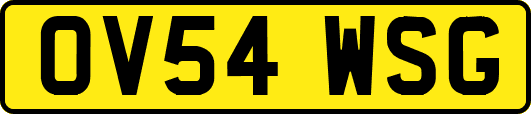 OV54WSG
