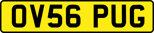 OV56PUG