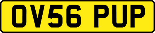 OV56PUP