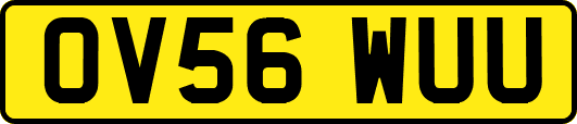 OV56WUU