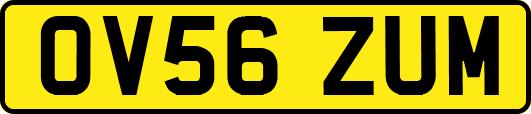 OV56ZUM