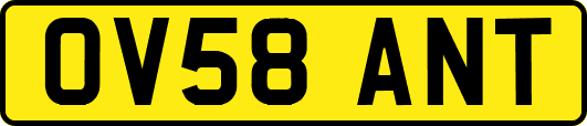 OV58ANT