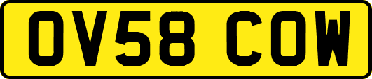 OV58COW