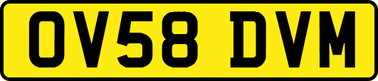 OV58DVM