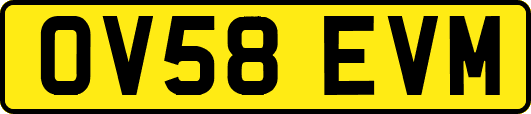OV58EVM