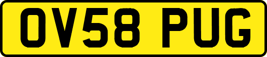 OV58PUG