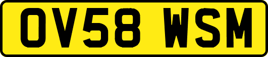 OV58WSM