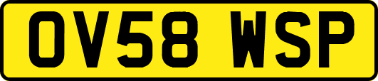 OV58WSP