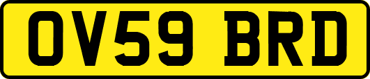 OV59BRD