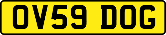 OV59DOG