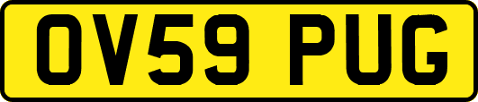 OV59PUG