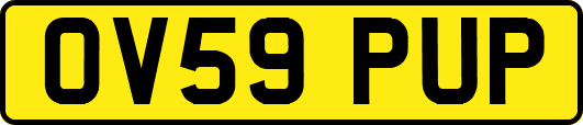 OV59PUP