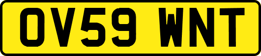 OV59WNT