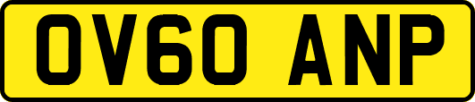 OV60ANP