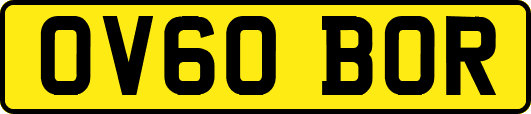 OV60BOR