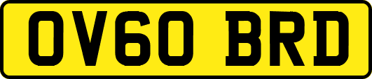 OV60BRD