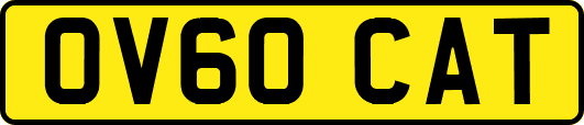 OV60CAT