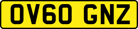 OV60GNZ