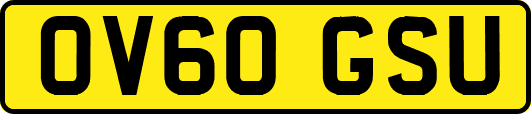 OV60GSU