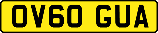 OV60GUA