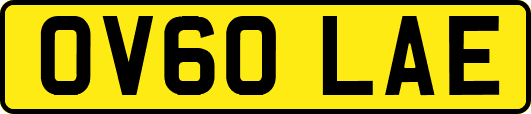 OV60LAE