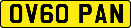 OV60PAN