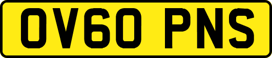 OV60PNS
