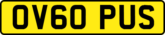 OV60PUS
