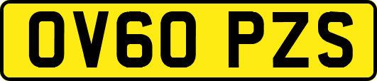OV60PZS