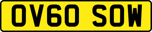 OV60SOW