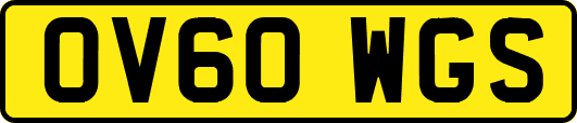 OV60WGS