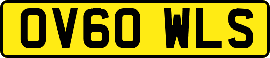 OV60WLS