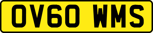 OV60WMS